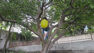 Marianna climbs a tree to pop a large balloon (Full video on C4S / MV / OF / Membersite)