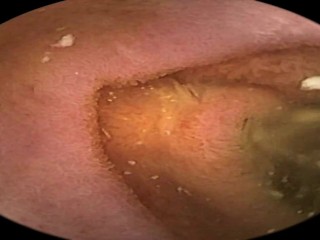 Preview Clip --giantess Drinking Cofffee