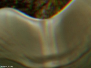 Carolitta Futa Scalie FaceFuck Preview