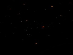 Boring but Healthy way for a healthy night - Gentle Storytelling & Ambient Sounds