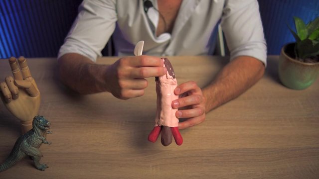 Así se ve un Realmente un Pene por dentro: Anatomía de un Gran miembro