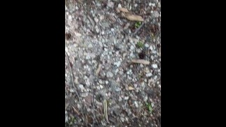 Pissing on Cruising Trail - Dane Coxx