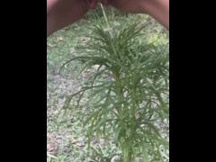 Golden Shower for My Garden -  Naughty Girl Pissing Outdoors
