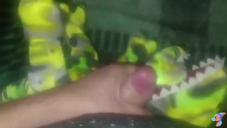 Красочное веселье T-Rex