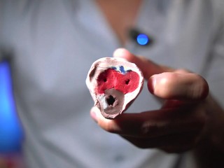 Así Se Produce Una Erección – Explicación Médica Clara