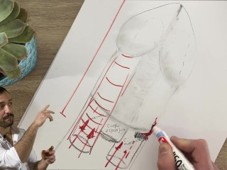 Sexo Peligroso: Qué Es La Fractura De Pene y Cómo Se Trata