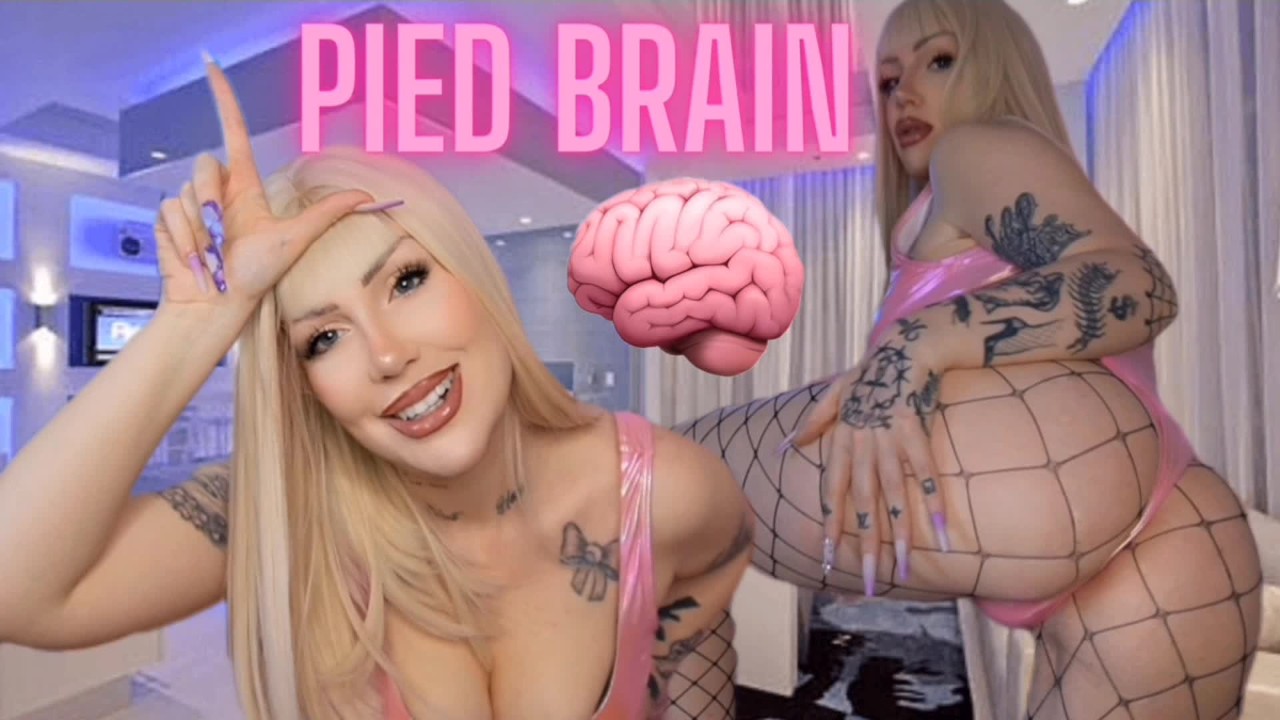 P.I.E.D. Brain - Only Porn Turns You On - Addiction Training - Loser Porn  Addict - Porn brainwash