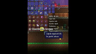 Terraria guia para el PDA