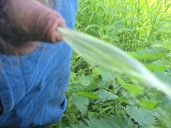 Desperate piss in the cornwr od the field