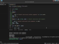 #38 Constructors & Destructions - Screenshot 14 of 16 - Programming