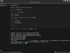 #38 Constructors & Destructions - Screenshot 15 of 16 - Coding