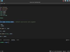 #38 Constructors & Destructions - Screenshot 9 of 16 - Programming