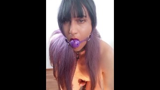 Leash, collar and gag.