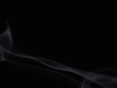 Expected to Swallow trailer 13/16