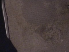 Pissing on my Bedroom Carpet in the Middle of the Night