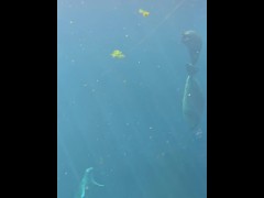 [Behind The Model] Cum Learn With Me At The Aquarium - Screenshot 14 of 16 - Knowledge