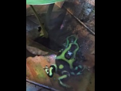 [Behind The Model] Cum Learn With Me At The Aquarium - Screenshot 16 of 16 - Bts