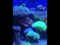 [Behind The Model] Cum Learn With Me At The Aquarium - Screenshot 3 of 16 - Learning
