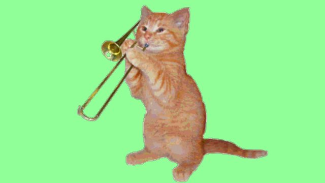 Киска играешься на трубе