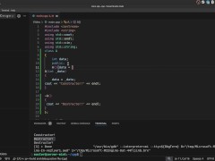 #40 Constructors and Destructors(continue)