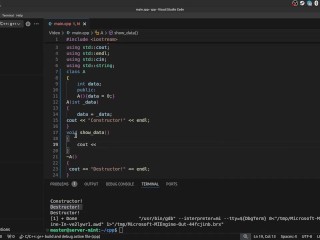 #40 Constructors and Destructors(continue)