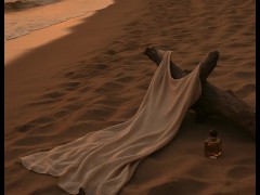 [Audio Roleplay For Women] Dominant Alpha Makes You CUMMM hard at the beach[M4F]
