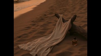[Audio Roleplay For Women] Dominant Alpha Makes You CUMMM hard at the beach[M4F]