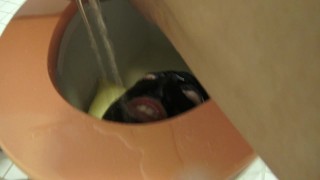 Absolut Pervert Piss-Mess!