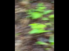 Rainy Day Trail Public Piss - Dane Coxx - Screenshot 11 of 16 - Dane Coxx