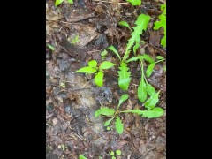 Rainy Day Trail Public Piss - Dane Coxx - Screenshot 2 of 16 - Amateur Piss