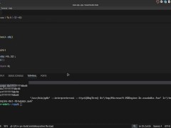 #41 Copy Constructor - Screenshot 15 of 16 - Ukraine
