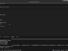 #41 Copy Constructor - Screenshot 16 of 16 - Cpp