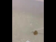 فتاة جمالية فاخرة - حمام ومنتجع فاخر 7 نجوم - استمناء وتأوه مراهقات - عارضة أزياء شابة سعودية جميلة - Screenshot 6 of 16 - Los Angeles Amateur