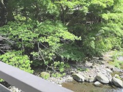 【パパ活温泉旅行】20歳女子大生が旅館に着くなり脱ぎ始め早速イッてしまう。濃厚フェラから高速ピストンで絶頂/素人/美少女/20代/足フェチ/可愛い/個人撮影/ハメ撮り - Screenshot 1 of 16 - Pickup