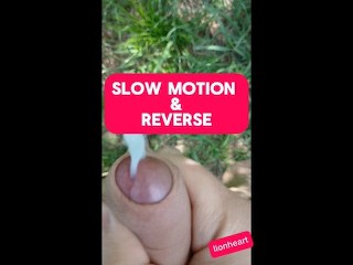 [reverse & Slow Motion] Cumshot