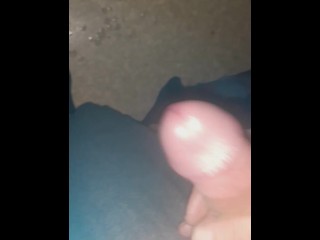 Орехи на моей сушилке