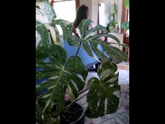 Come see my Thai Con! Video coming soon! - Screenshot 7 of 16 - Girl Masturbating