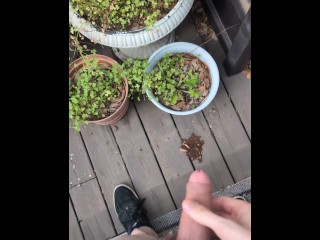 Поливаю уличные растения моих друзей своим длинным членом