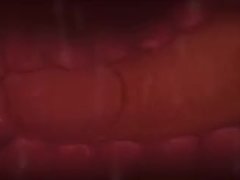 Braixen and Charizard // Zonkpunch