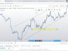 Soportes y Resistencias (TRADING)
