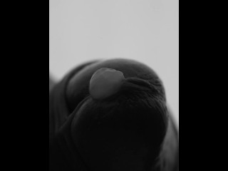 Кончить с макро видом