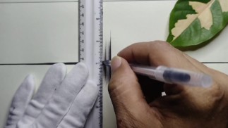 Красивый рисунок с помощью обыкновенной ручки 🖊️