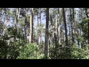 trailer_Mesmeriza_23_01_MOV_CINEMA_CLIP_325_326_327_20240814141600562_