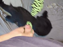 I baie with toothless and come to his ass - Screenshot 15 of 16 - Plush