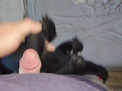 I baie with toothless and come to his ass - Screenshot 6 of 16 - Plush