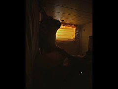 Hot doggy fucked my girl