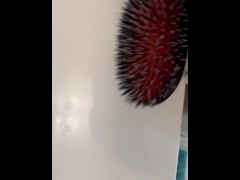 Self CBT - Screenshot 10 of 16 - Ball Punishment