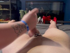 Caged Sissy Gets Teased And Balls Busted By BBC Until Ruined Orgasm