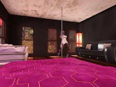 Beautiful Girl Dances Pole Dance