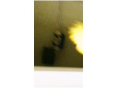 Wee weee👅👅👅 - Screenshot 14 of 16 - Ass